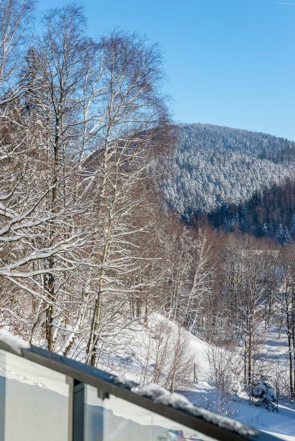 Apartament Skrzyczne 什切尔克 外观 照片