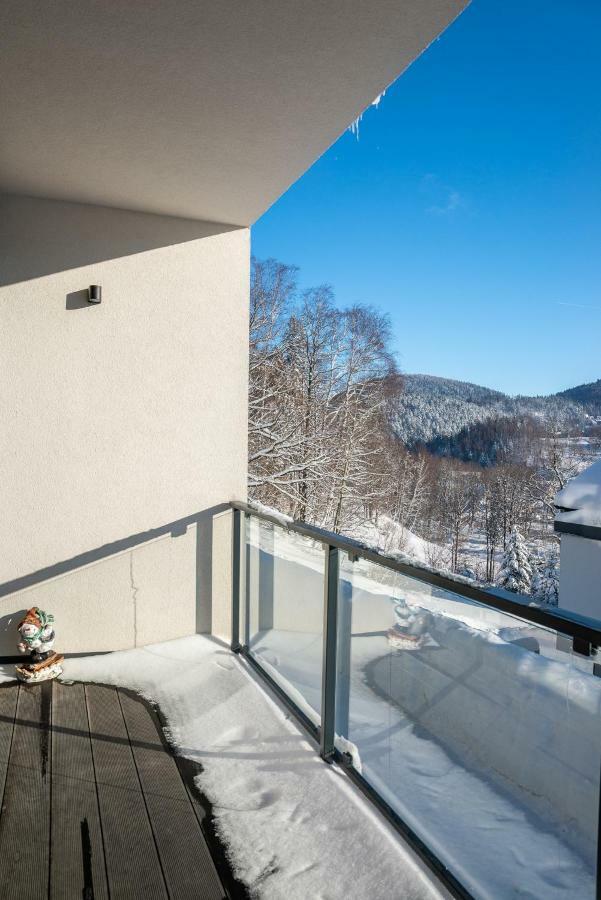 Apartament Skrzyczne 什切尔克 外观 照片